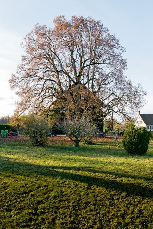 © Marino Trotta – Ville de Lausanne